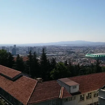 Your In With Full View * Bursa